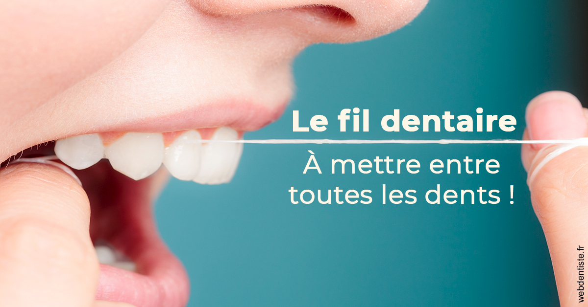 https://selarl-drs-choquin.chirurgiens-dentistes.fr/Le fil dentaire 2