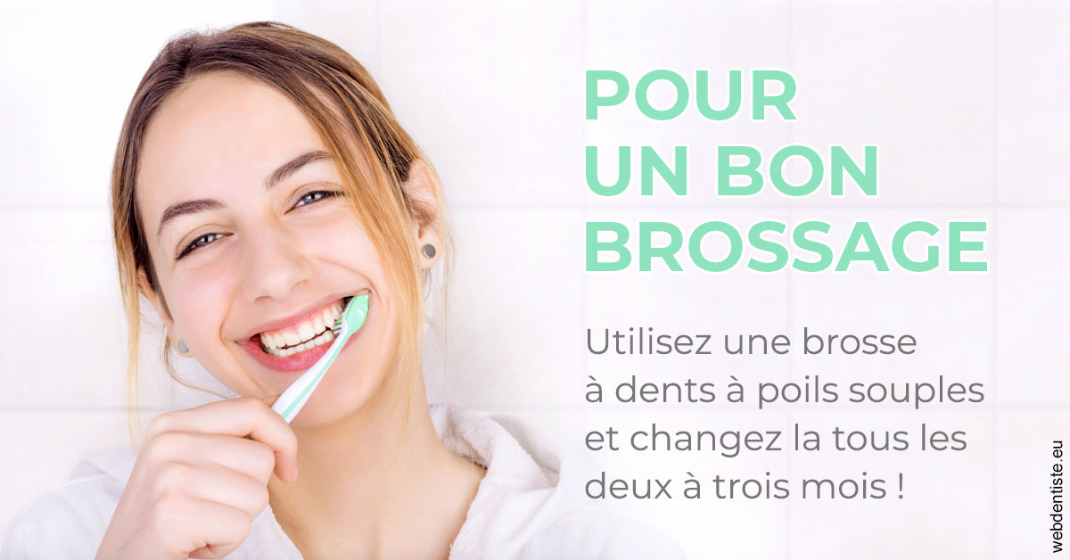 https://selarl-drs-choquin.chirurgiens-dentistes.fr/Pour un bon brossage 2