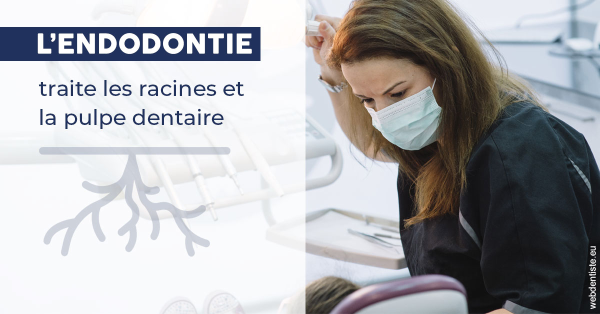 https://selarl-drs-choquin.chirurgiens-dentistes.fr/L'endodontie 1
