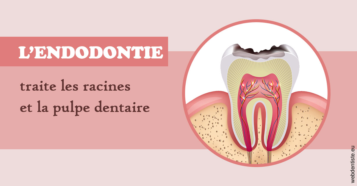 https://selarl-drs-choquin.chirurgiens-dentistes.fr/L'endodontie 2
