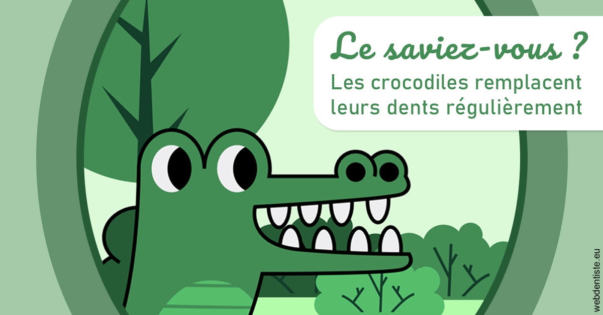 https://selarl-drs-choquin.chirurgiens-dentistes.fr/Crocodiles 2