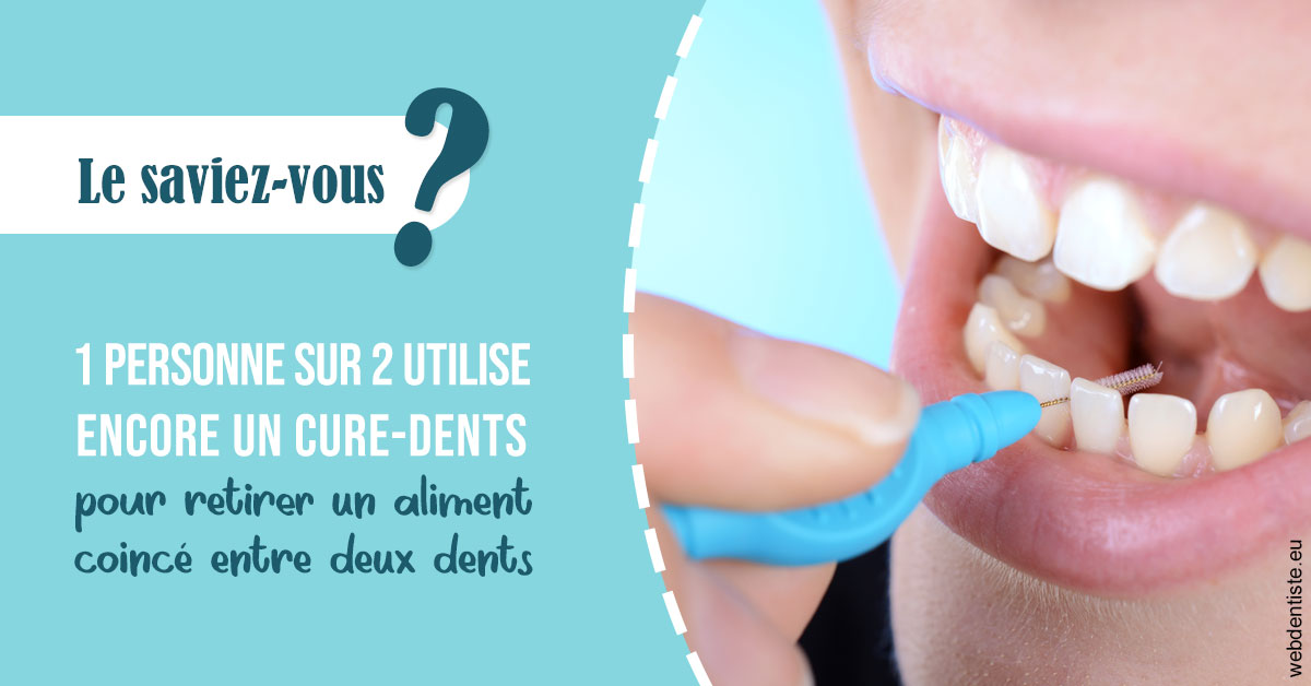 https://selarl-drs-choquin.chirurgiens-dentistes.fr/Cure-dents 1