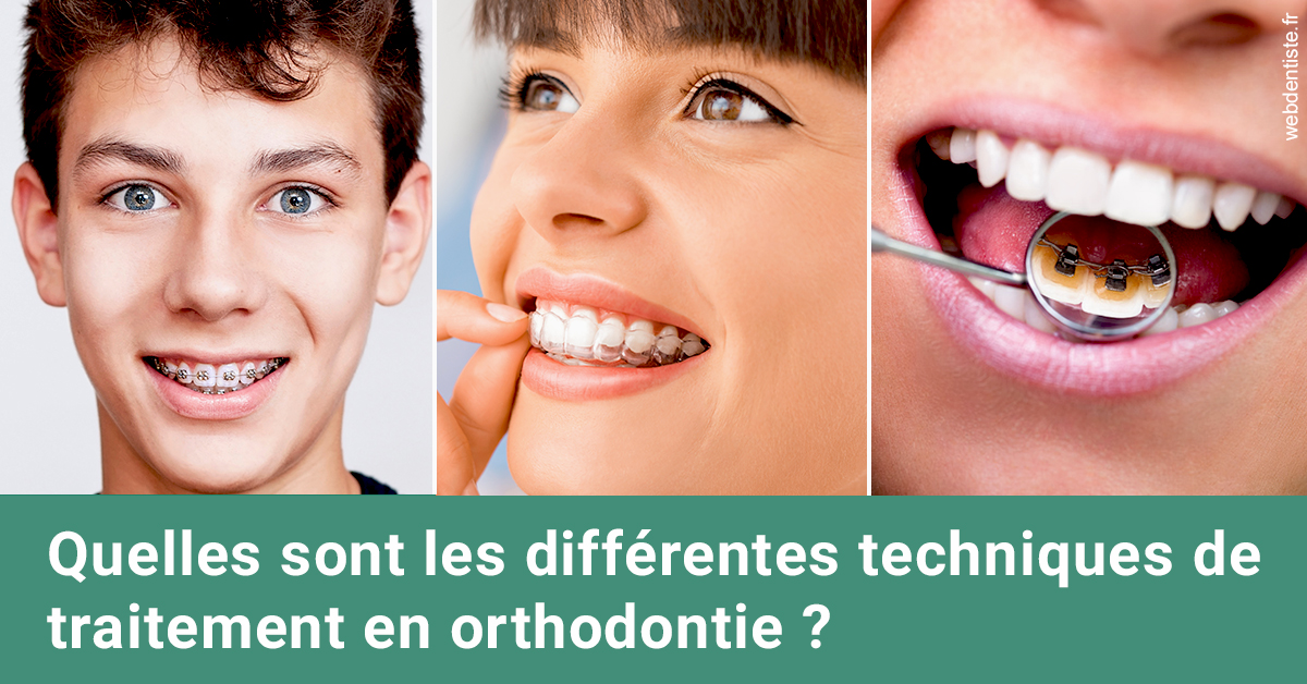 https://selarl-drs-choquin.chirurgiens-dentistes.fr/Les différentes techniques de traitement 2