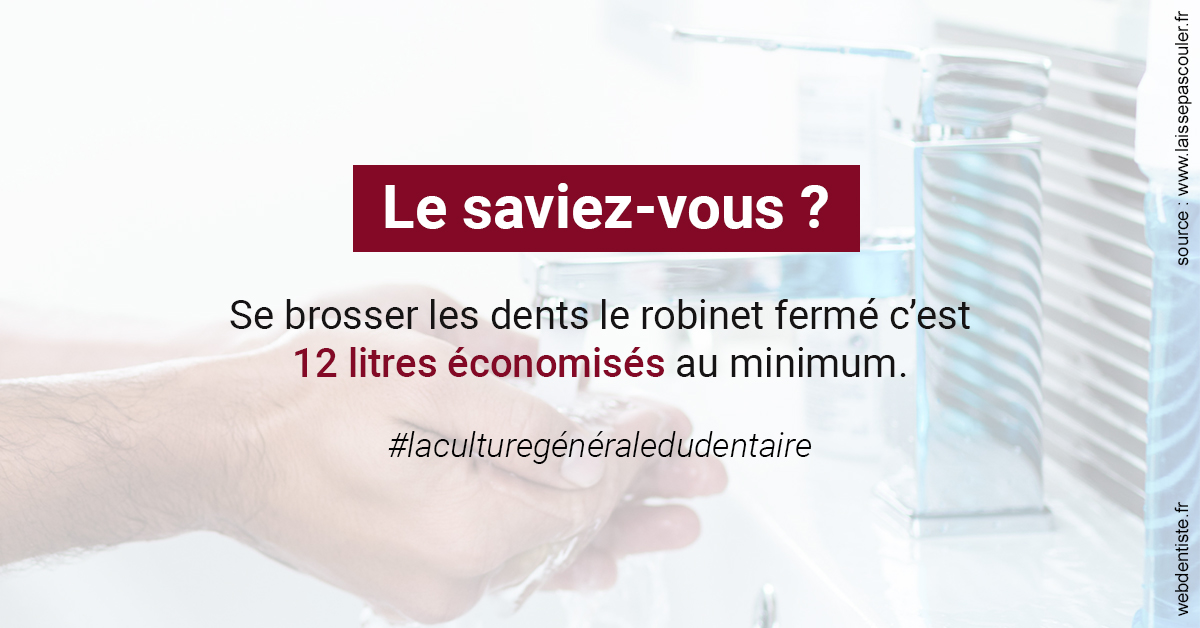 https://selarl-drs-choquin.chirurgiens-dentistes.fr/Economies d'eau 2